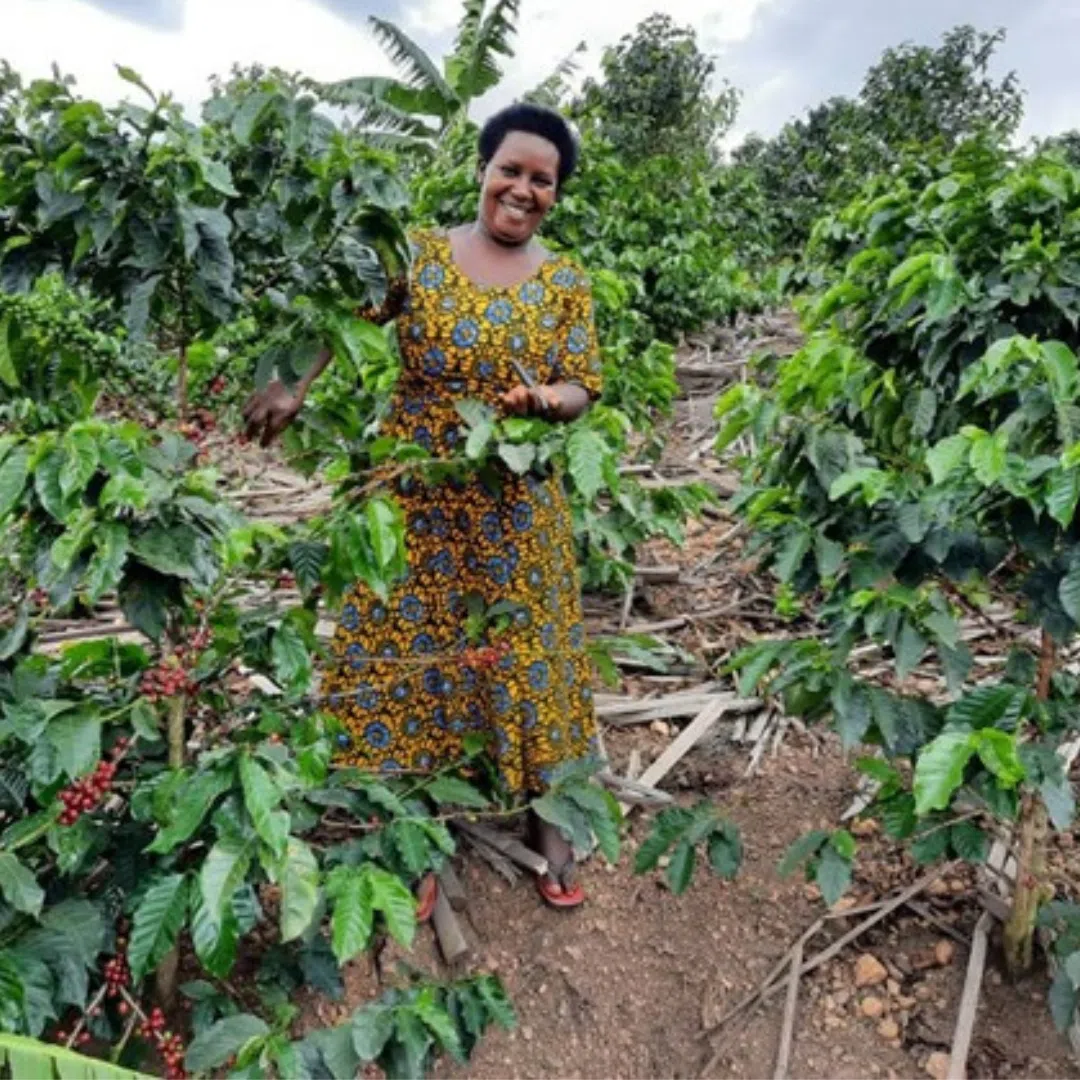 Member of staff, a woman in the fields of the agribusiness